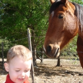 Evan and the horse