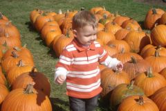 Fall Fun