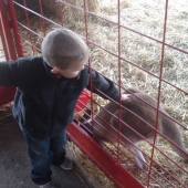Evan petting a kangaroo