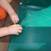 Evan and his worm