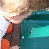 Evan and his worm on the slide