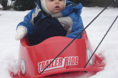 Sled and Snow