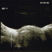 04082006.jpg