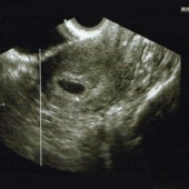 05012006.jpg