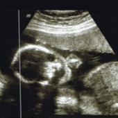 08092006.jpg