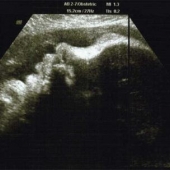 profile.jpg