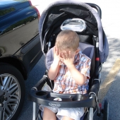 Evan cannot believe we are going to see animals