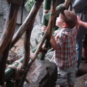 Evan looking at the monkeys