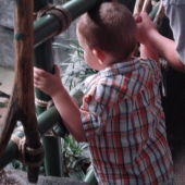 Evan looking at the monkeys