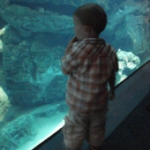 Evan looking at the fish