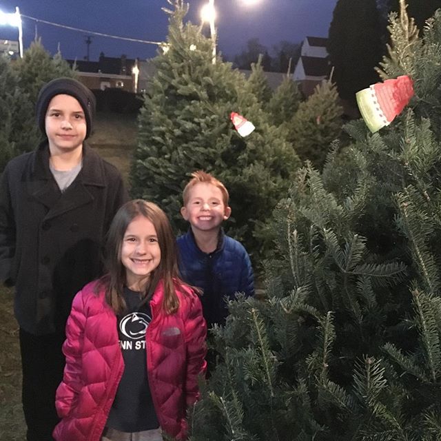 Christmas tree purchased!