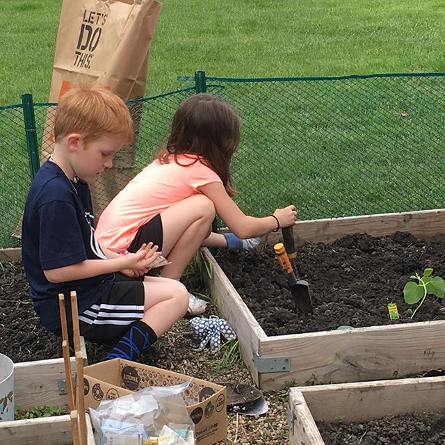 Garden helpers