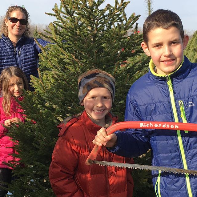 Cutting down our Christmas tree