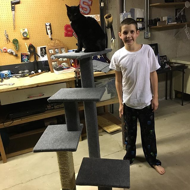 Cat tree project done!