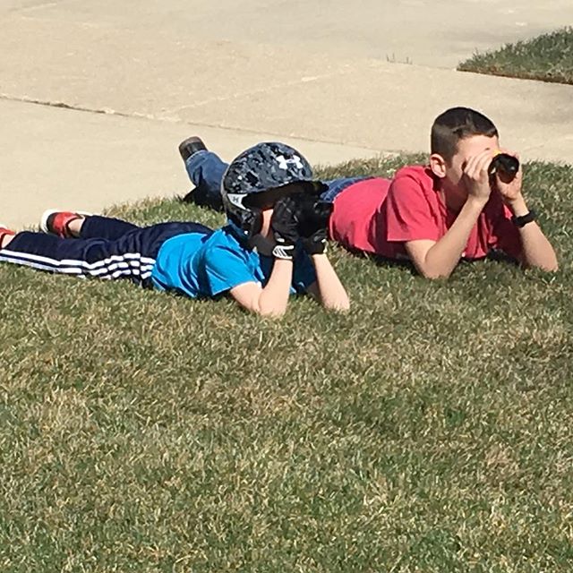 Snipers in training or looking at the dead robin in the yard?