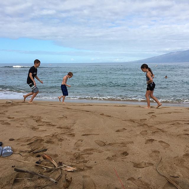 Beach fun