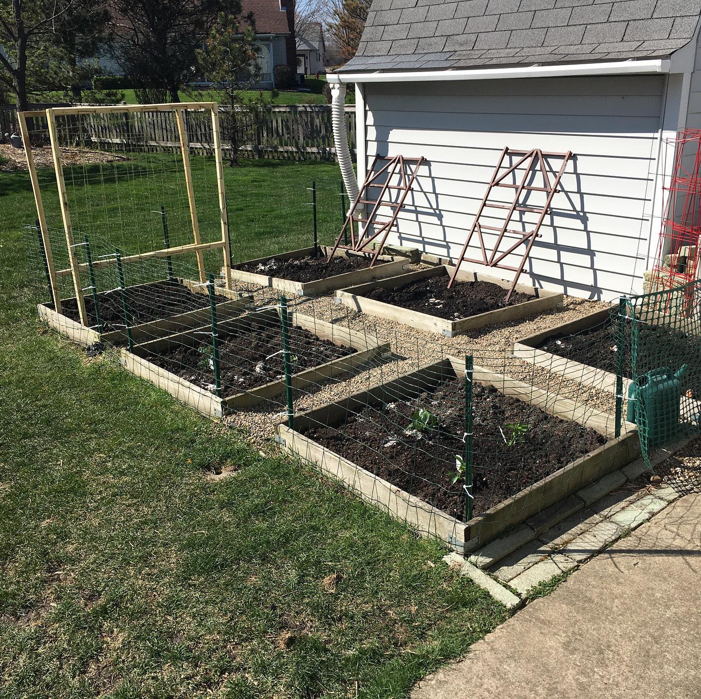 2020 garden!