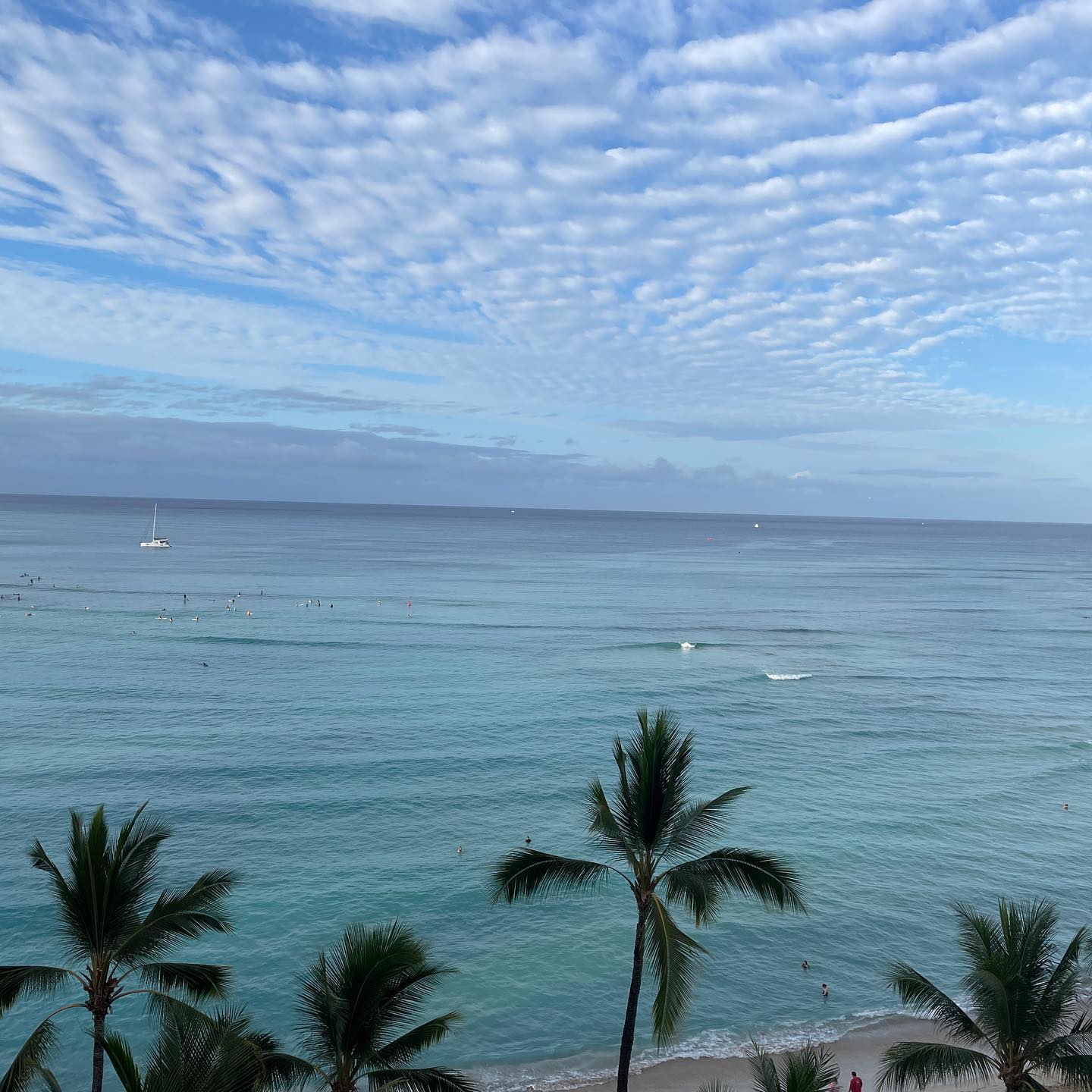 Good morning Waikiki!